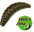 Приманка Trout Zone Maggot 32мм 12шт Сыр пеллетс