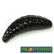 Приманка Trout Zone Maggot 40мм 10шт Сыр черный