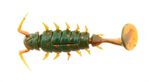 Виброхвост Lucky John Alien Bug 1.5 38мм цвет  085