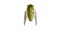 Воблер Megabass GH Haruzemi 1.7гр ff caddis olive - фото 106184