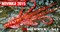 Мягкая Приманка Redbass №1- S 53мм Red G 5шт/уп - фото 20709