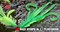 Мягкая Приманка Redbass №1- L 80мм Fluo/Green 5шт/уп - фото 20896