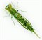 Мягкая Приманка Fanatik Larva 2.0" Съедобная 8шт/уп Color#005 - фото 27431