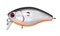 Воблер Kosadaka RAVEN XS плавающий 40мм, 4г, 0,1-0,5м, цвет GT - фото 32725
