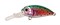 Воблер Kosadaka ROGER Deep плавающий 36мм, 3,80г, 2,8-3,2м, цвет TR - фото 32746