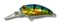 Воблер Kosadaka ROGER Dive плавающий 32мм, 2,80г, 1,5-1,8м, цвет PC - фото 32751