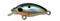 Воблер Kosadaka ROGER Midi плавающий 32мм, 2,60г, 0,8-1,1м, цвет GT - фото 32754