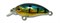 Воблер Kosadaka ROGER Midi плавающий 32мм, 2,60г, 0,8-1,1м, цвет PC - фото 32761