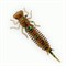 Мягкая Приманка Fanatik Larva 2.5" Съедобная 7шт/уп Color#004 - фото 35415