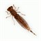 Мягкая Приманка Fanatik Larva 2.5" Съедобная 7шт/уп Color#006 - фото 35417