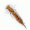 Мягкая Приманка Fanatik Larva 2.0" Съедобная 8шт/уп Color#003 - фото 35427