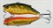 Ратлин Grows Culture Calibra 75мм 16,5гр Цвет 050R Golden Fish - фото 39611