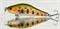 Воблер Grows Culture Khamsin 70-SR 1,5м 9,5гр Цвет 851R Leopard Stripe - фото 40014