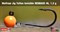 Джиг-головка Вольфрамовая Teflon №6 Orange/Black 1,5гр 5шт/уп - фото 49886