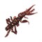 Мягкая приманка Bait Breath SSP Skeleton Shrimp 2.7" 8шт/уп #S834 - фото 50304