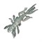 Мягкая приманка Bait Breath SSP Skeleton Shrimp 2.7" 8шт/уп #S875 - фото 50310