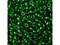 Бисер Рыболовный тёмно-зелёный прозрачный 1,7мм - фото 79248