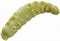 Приманка Berkley PowerBait Honey Worms 2.5см Garlic Yellow чеснок - фото 84963
