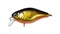 Воблер Jackall Chubby 38 3,8см 4,2гр плавающий 0,6-1м цвет hl gold & black - фото 93084