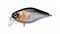Воблер Jackall Chubby 38 3,8см 4,2гр плавающий 0,6-1м цвет hl silver & black - фото 93094