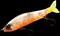 Воблер Gan Craft Jointed Claw 70 S #AR-01 - фото 96901