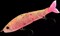 Воблер Gan Craft Jointed Claw 70 S #AR-06 - фото 96905