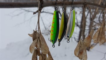 Воблеры ZipBaits Rigge Raphael 