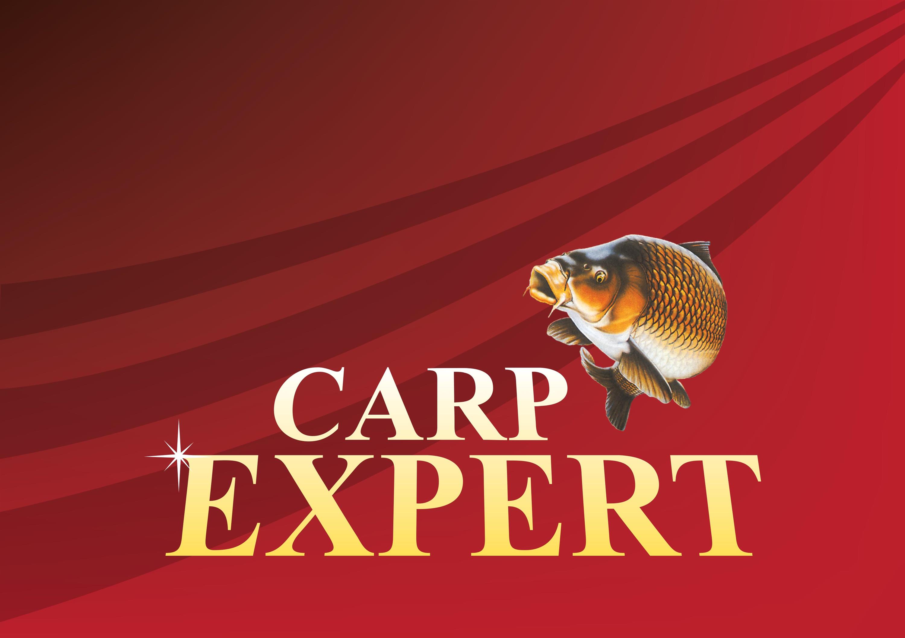 Фидеры Carp Expert 